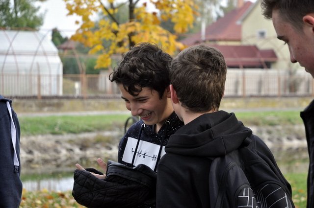 csibetábor az aranyban 13